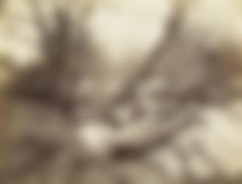 Ville D'avray (preview)