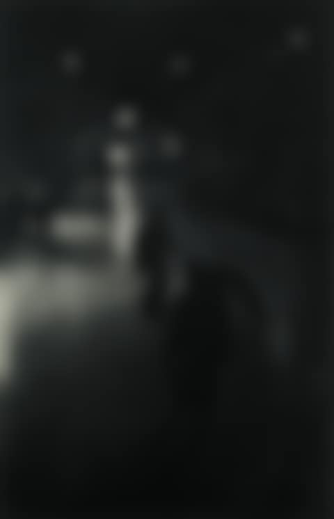 Portfolio Entitled Roy Decarava (preview)