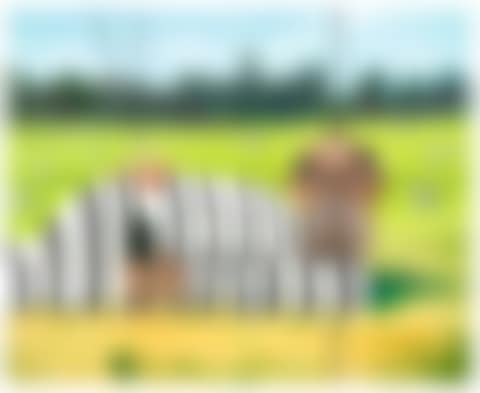 THE PRISONER  (preview)