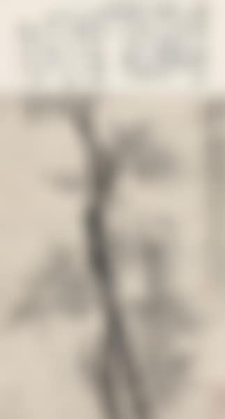 Bamboo stone figure (preview)