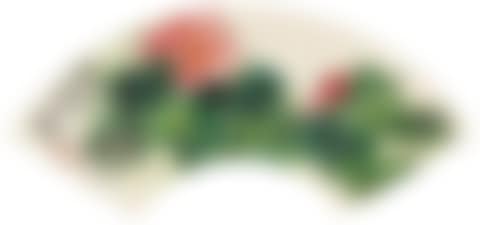 Hibiscus Spring (preview)