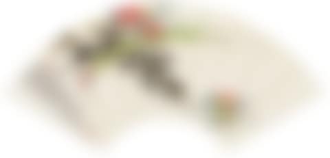 Autumn flower (preview)