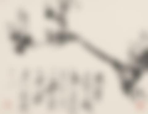 Magnolia (preview)