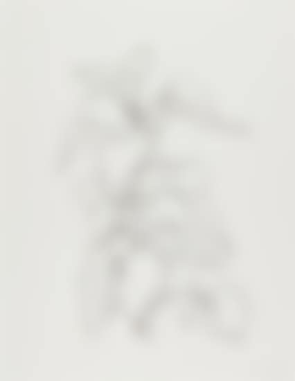 Sunflower II, from Series of Five Plant and Flower Lithographs (preview)