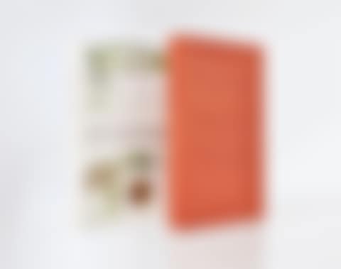 The Large Glass and Related Works, Vols. I-II (preview)