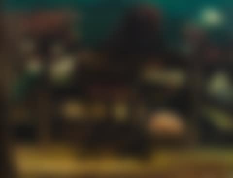 LE VILLAGE (preview)