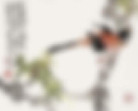Bird Resting on A Branch (preview)