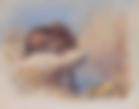 British Mammals (preview)