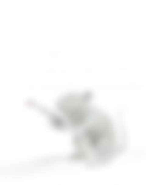 Love Rat (white) (preview)