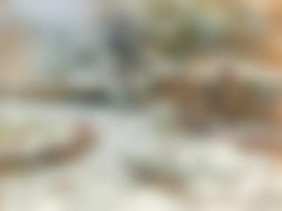 October snow, motiv from the garden of castle Hartenstein (preview)
