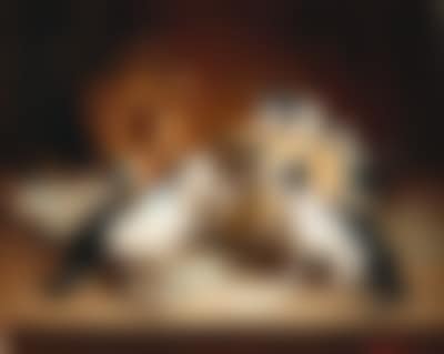 Playful kittens (preview)