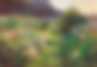 Meadow (preview)