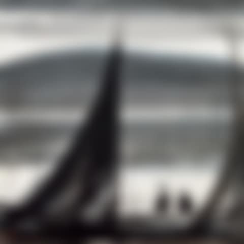 Ospreys (preview)