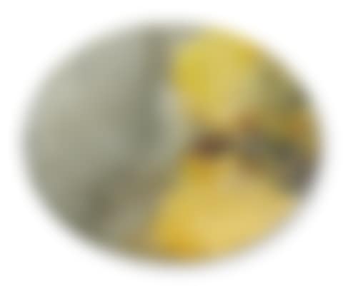 26.05.84 (preview)