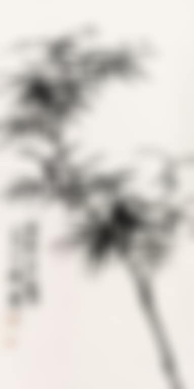 Bamboo (preview)