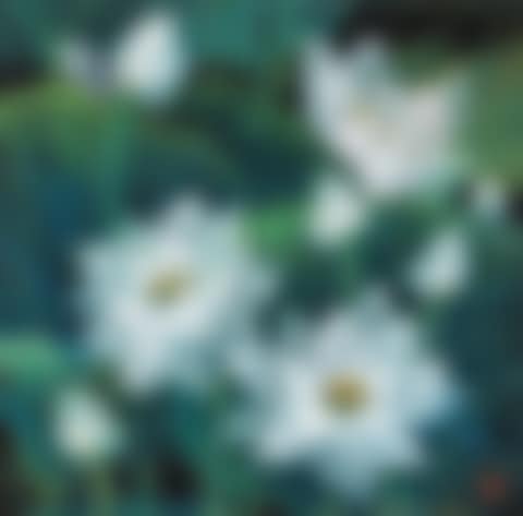 Lotus (preview)