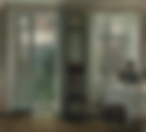 The Artist's Wife sitting at a Window in a Sunlit Room (preview)