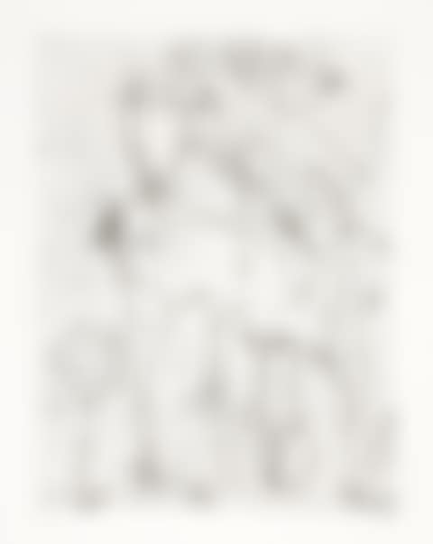 Untitled (P15) (preview)