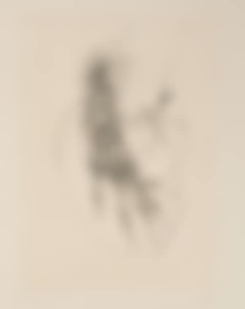Untitled (preview)