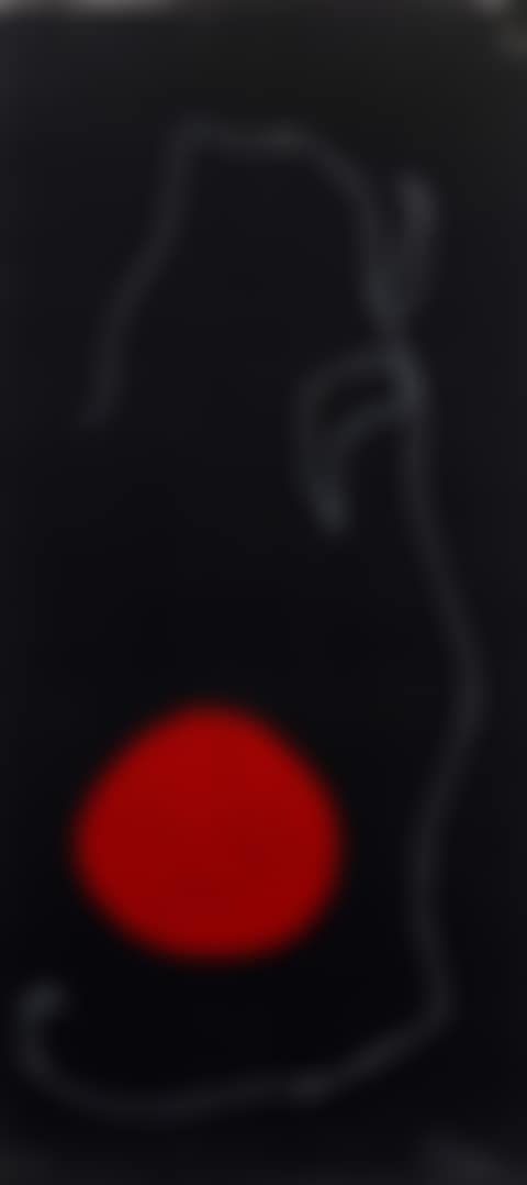 Bird in front of the Sun (preview)