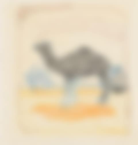 CAMEL (preview)