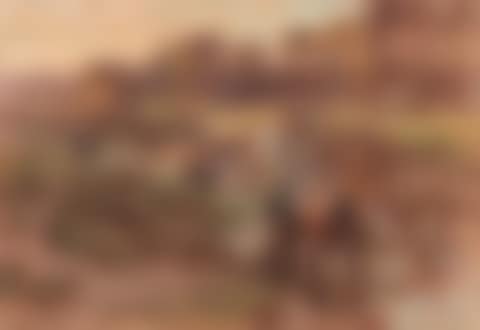 Portrait Of Woman With Wide Dress (preview)