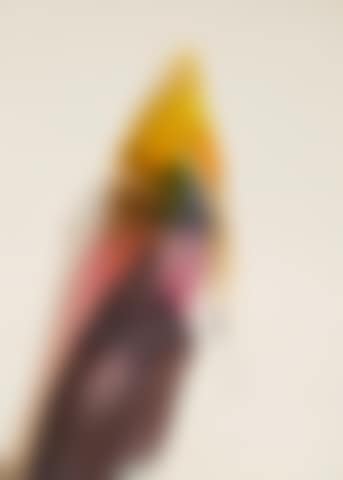 Phenomena New Voyager (preview)