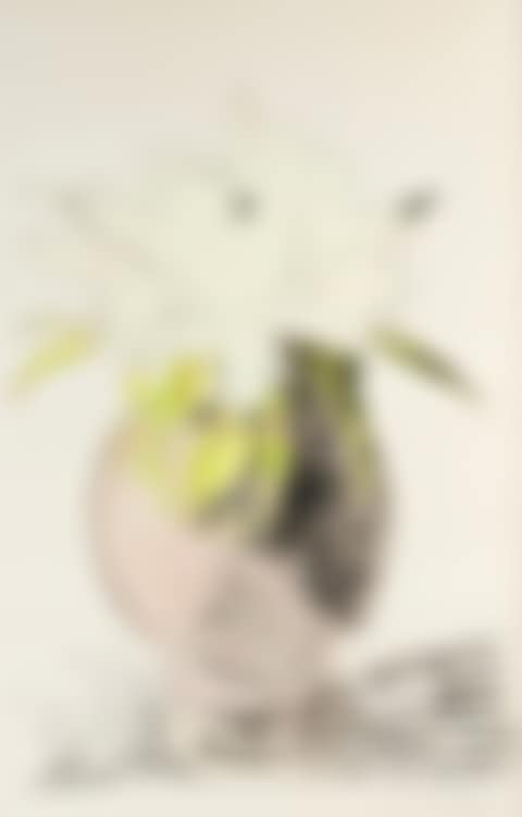 FLOWERS (HAND-COLORED) (preview)