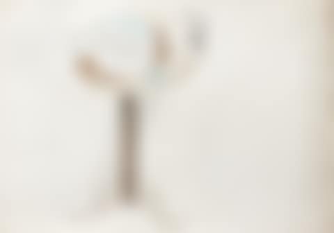 Coffee table top still life (preview)