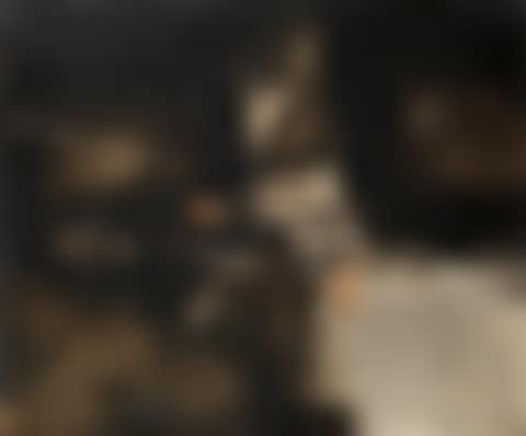 Phora C (preview)