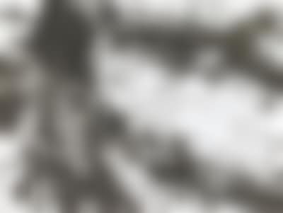 Silver Field (preview)