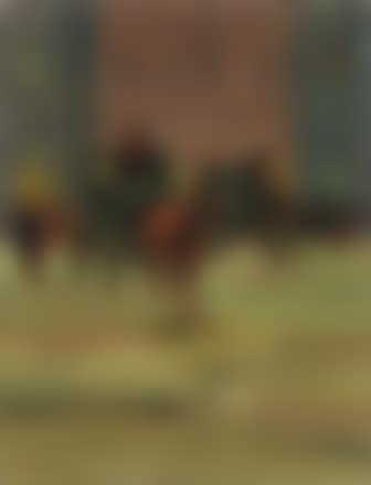 Livorno storica (preview)