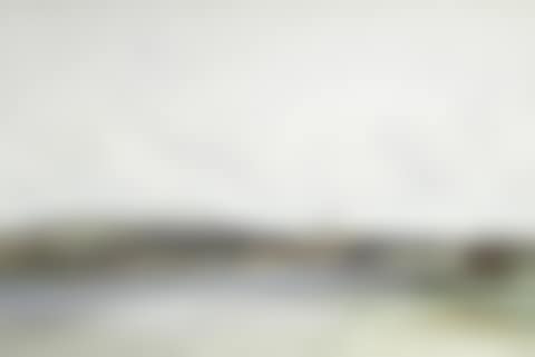 The peaceful estuary (preview)
