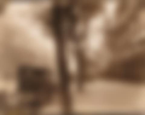 BOULEVARD DE BONNE NOUVELLE (preview)