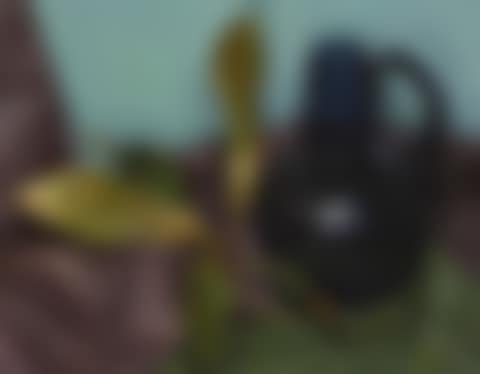 COOL COLORS (preview)