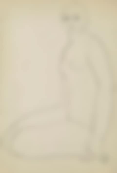 Nu assis (preview)