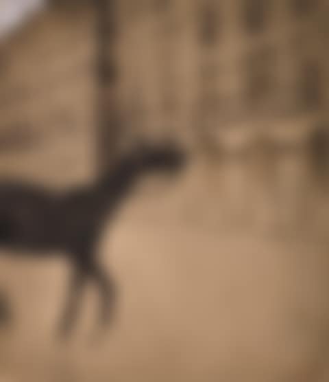 Le cheval, rue de Rivoli (preview)