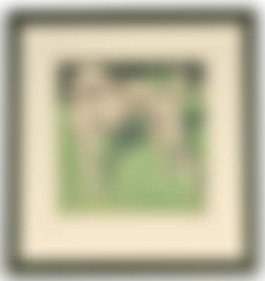 Borzoi (preview)