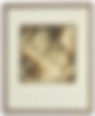 Snow Leopard (preview)
