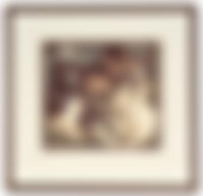 Bold kittens (preview)