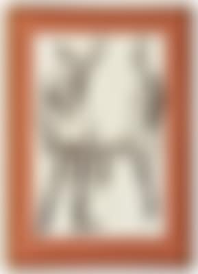 Nude studies (preview)