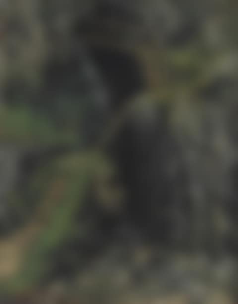 Les Gorges des Saillon (preview)