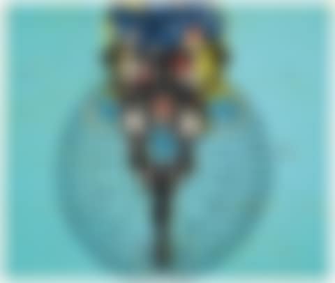A planta e a flor da banana (preview)