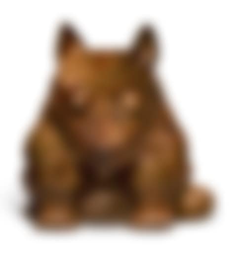 DOG (preview)