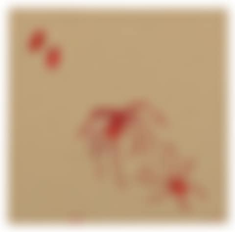 SPIDER (preview)