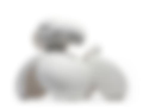 HUND/DOG (preview)