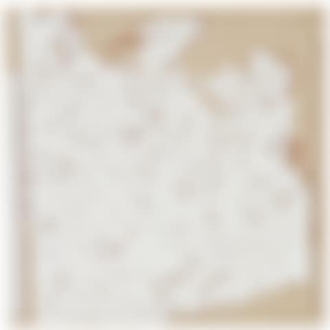 STAMP (preview)