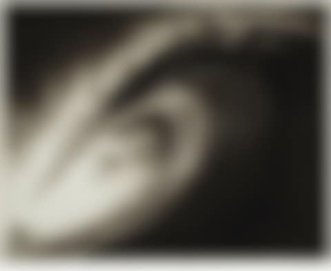 STUDY FOR PHOENIX (preview)