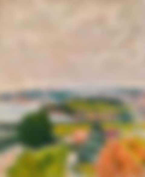 LANDSCAPE WITH BAY (preview)