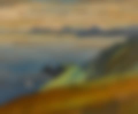 DUBLIN BAY FROM HOWTH (preview)